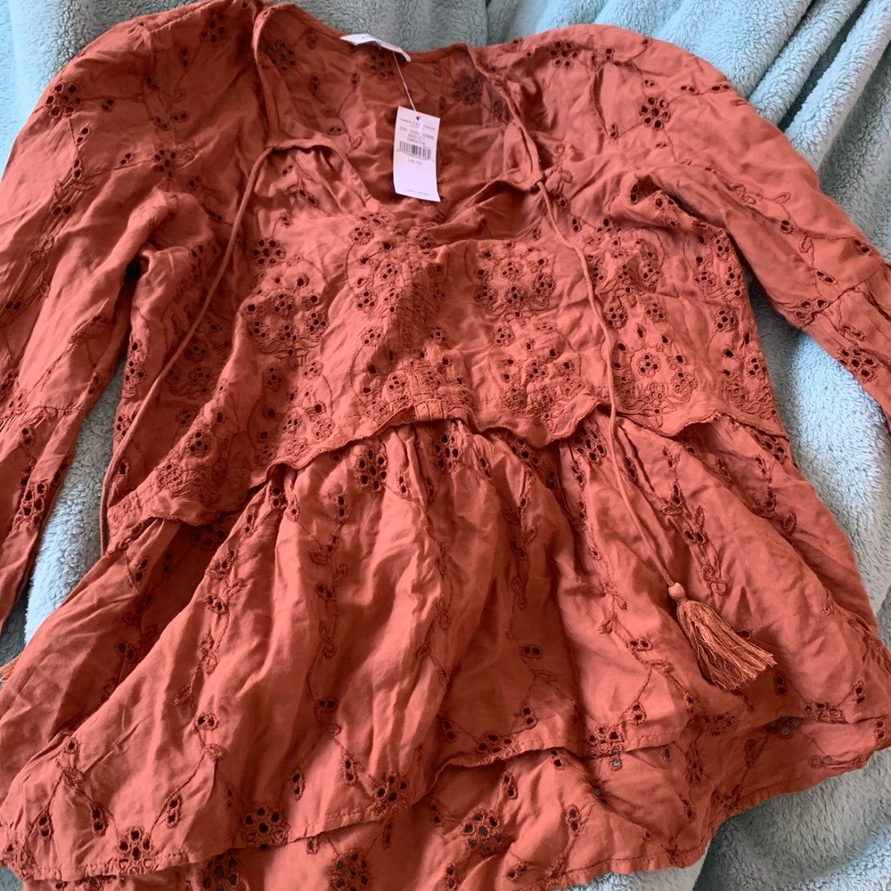 Rusty Colored Blouse